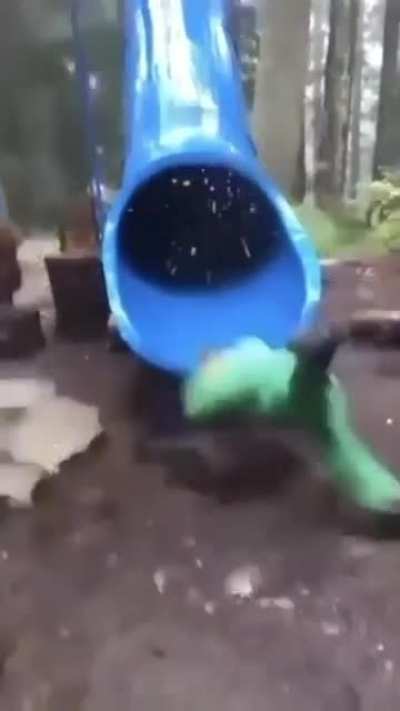 AAA