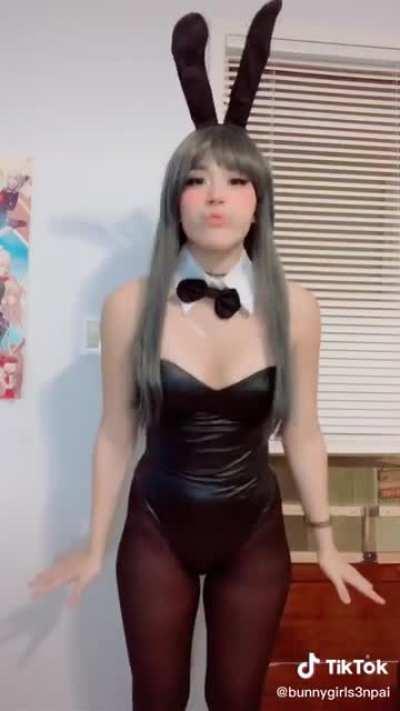 Bunny Girl Shy
