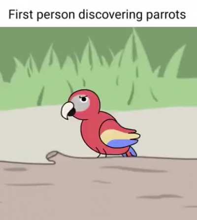 Thanks, I hate discovering parrots
