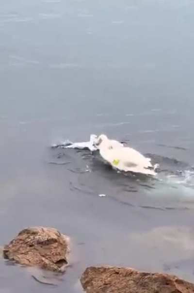 🔥Don't mess with a mother's children!