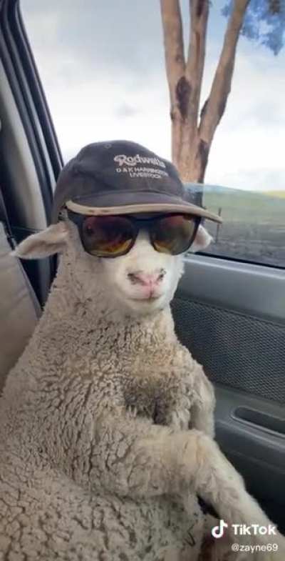 He’s looking pretty fly