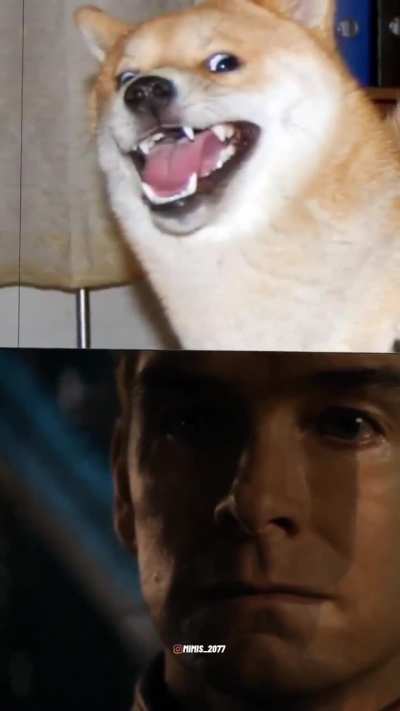 RIP