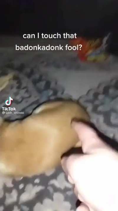Badonadonk