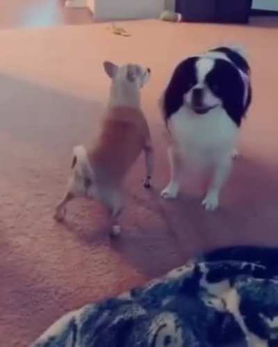 To smash