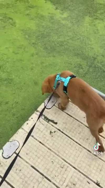 “One day this thing will fall”