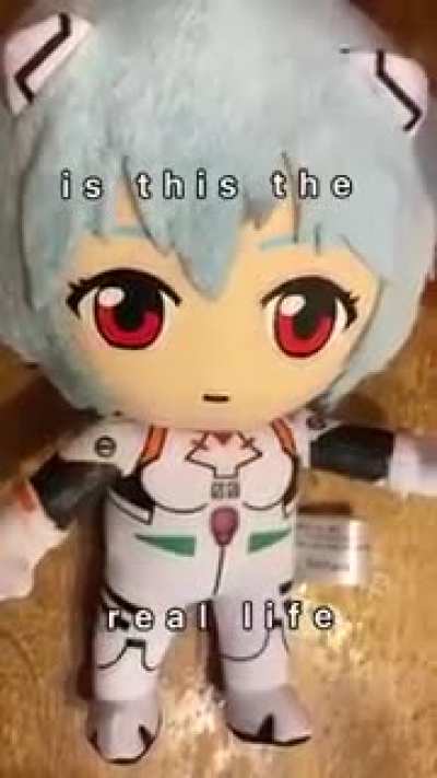 Rei...