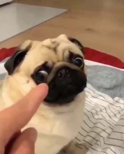 how cute... HOLY SHIT-
