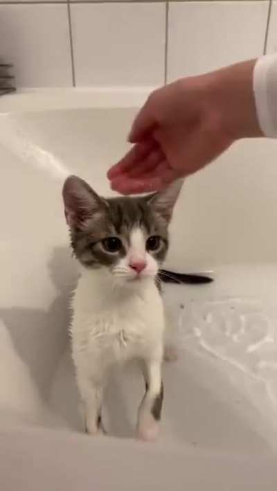 Bath Time.