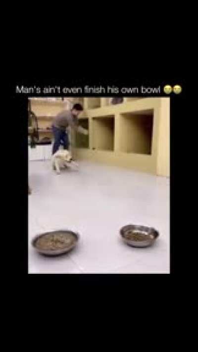 I’m dying 🤣🤣🤣🤣