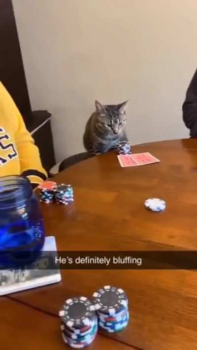 He's all in