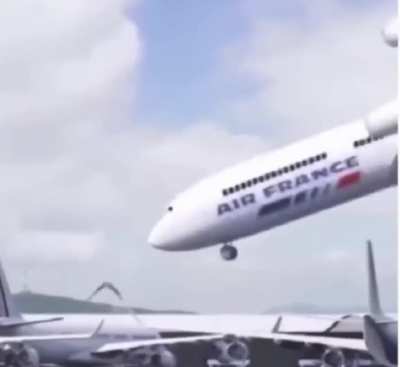 The plane be dancin' with da birdie.