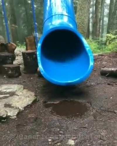 Do a barrel roll!