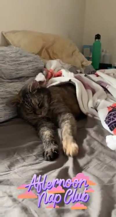 She can never be too warm