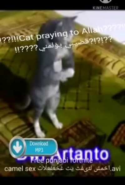 Arabfunny Reddit !!!??<wbr>?!!!H<wbr>aram!<wbr>!!???<wbr>!!! اخمش لثىفث يث غخعفع<wbr>لاث