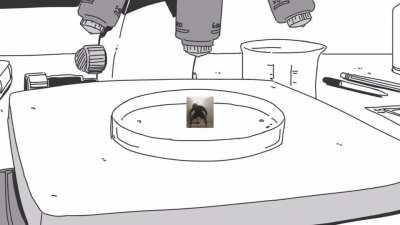 I’m not sure what to title this