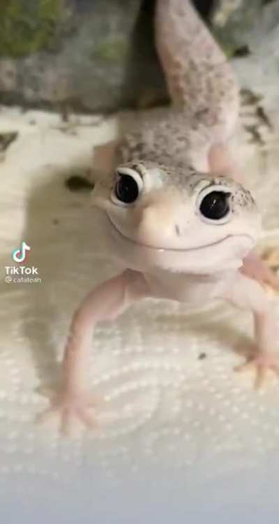 That smile tho..