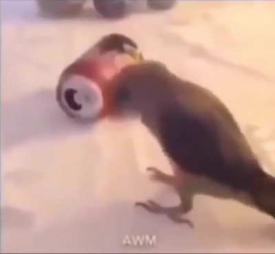 🎶