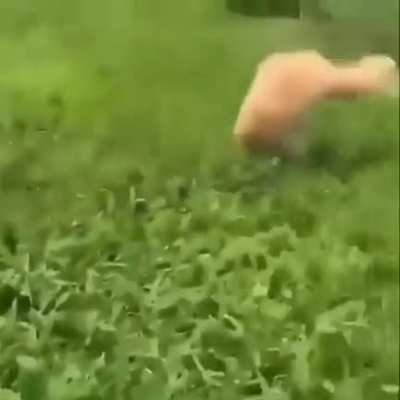 frien
