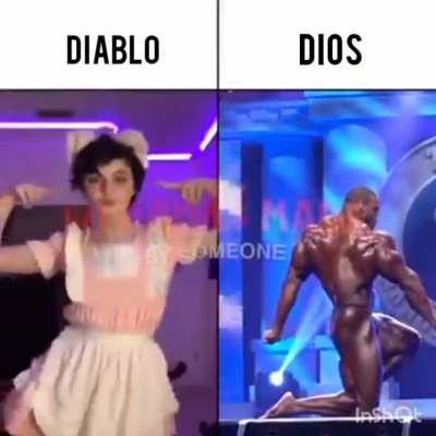 Viva cristo rey