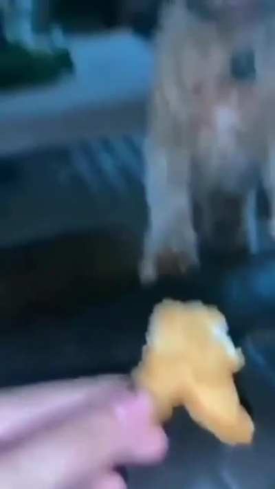 Amogos