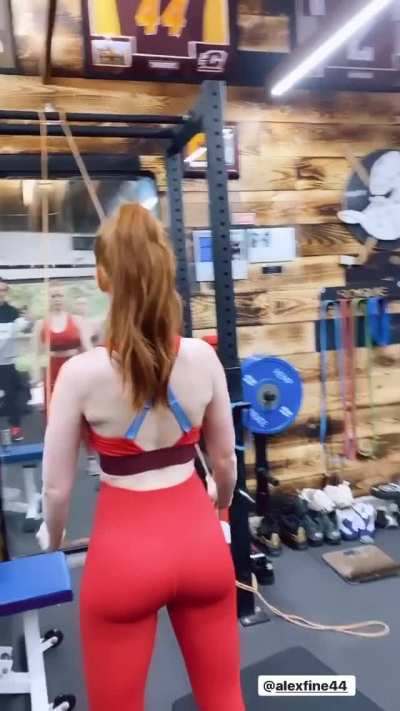 Today's Workout