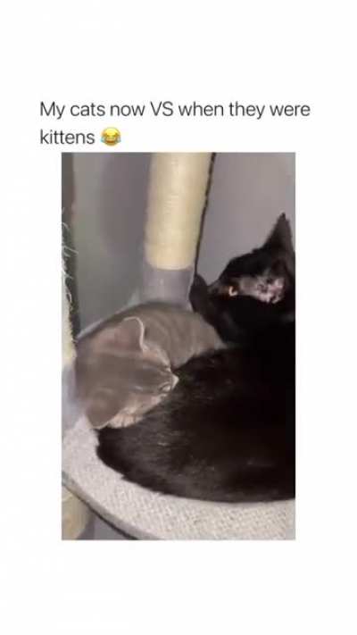 😭