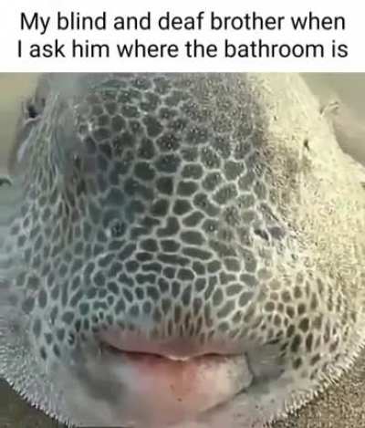 Bruh he lazy