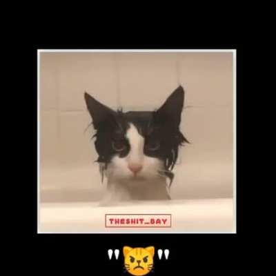 😾