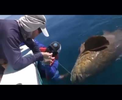 “Hold onto the fish, he floats”