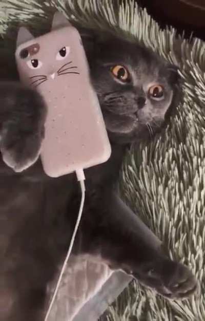 Customer Service