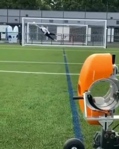 Tool trains human