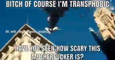 Transphobia