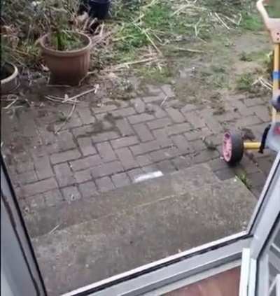 He’s been training his entire life for this moment