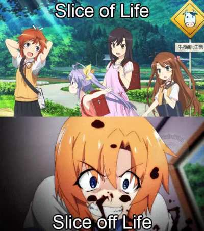 Gif memes are superior
