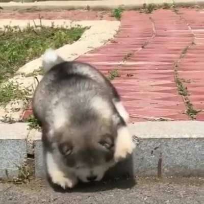OH GOD OH FUCK *panic*