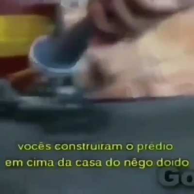 Seres humanos