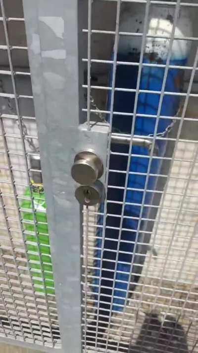 Big brain door 