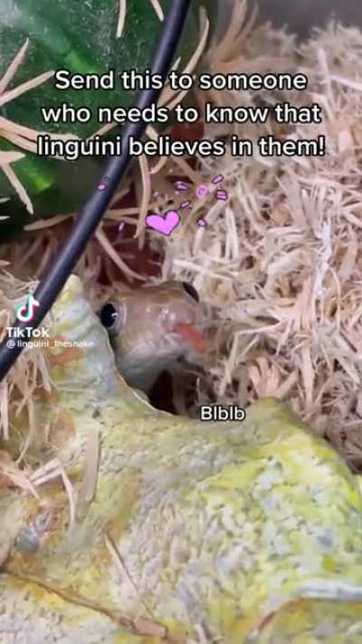 Linguini believes in you