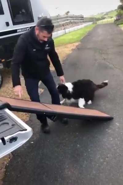 Why da dog jumpin? 🤔🤔🤔