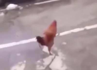 German chicken