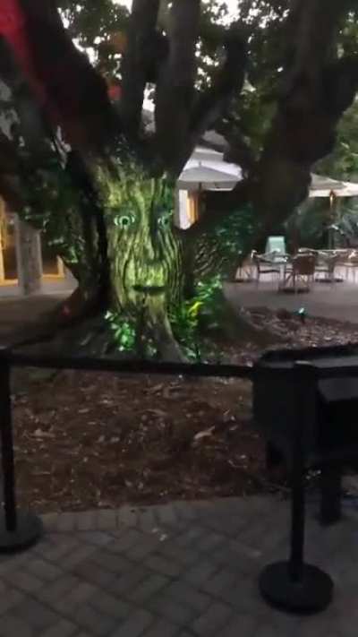 Kanye meets the ancient wise tree
