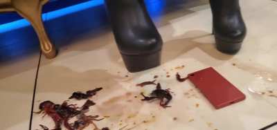 Crawdad crush (Japan OL)