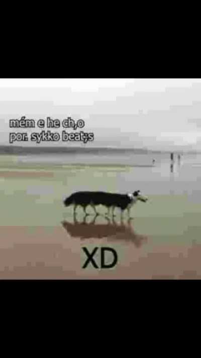 Ser como: