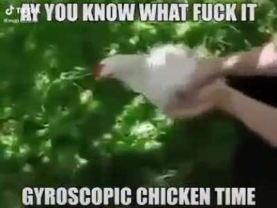 chicken moment