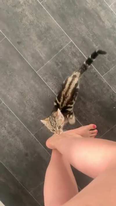 Someone's hungry