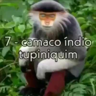 se gostou escreve no anal dexa o laik e ativa o cirilo