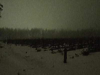 snowy nights