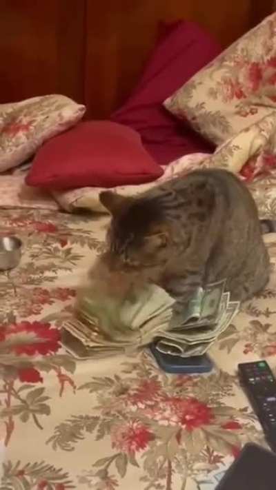 Gangster