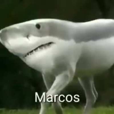 Marcos 😳😳😳😳😳😳