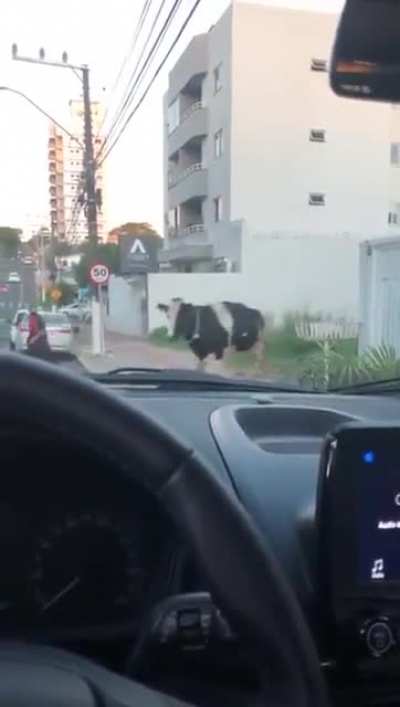 Just making my way downtown...